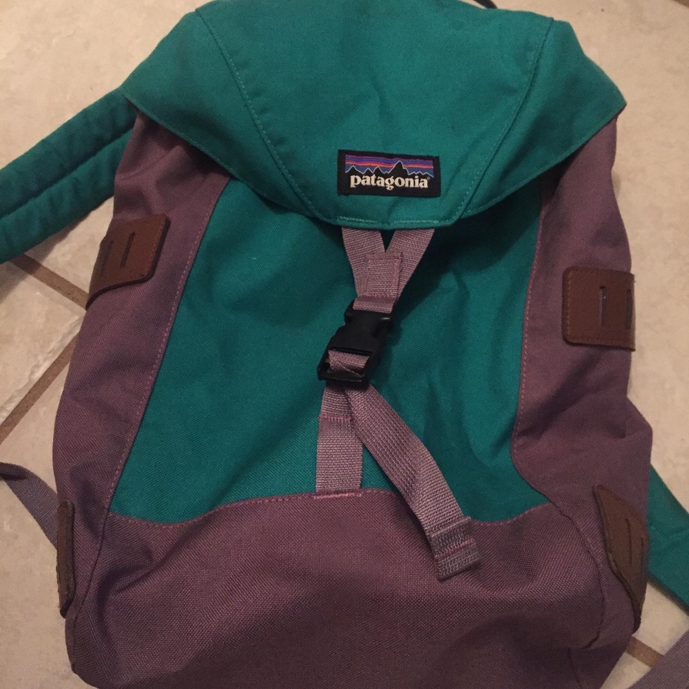 Patagonia  bonsai Pack 14L Purple and Green